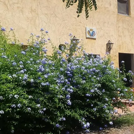 Tenuta Di Vignale * Vignale (Livorno)