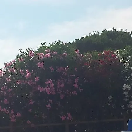 דירה Tenuta Di Vignale *