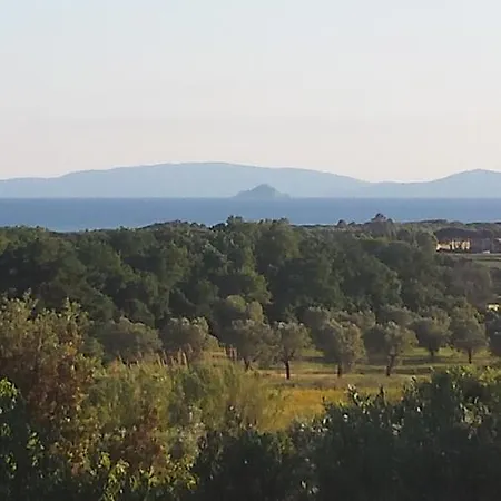 Tenuta Di Vignale * Vignale (Livorno)